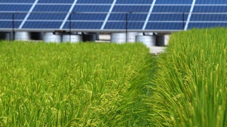 Instalacje fotowoltaiczne dla rolników