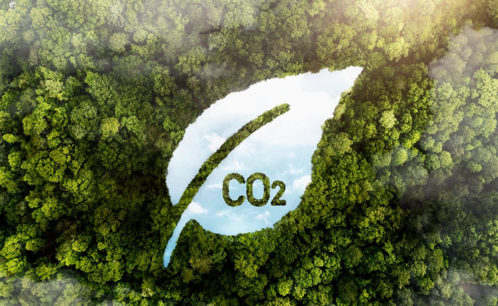 Biały listek na zielonym tle, jako symbol ekologicznych korzyści z uruchomienia elektrowni Midong i redukcji emisji dwutlenku węgla