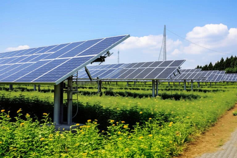 Fotowoltaika w Polsce – jak zmienia się struktura polskiego rynku PV?