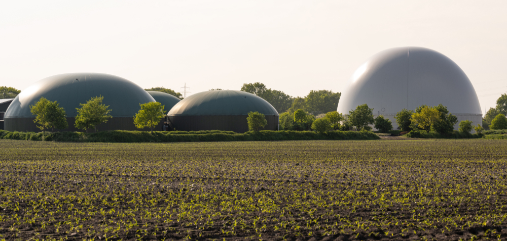 : Polski bio metan. Biogazownie czeka pomyślna przyszłość
