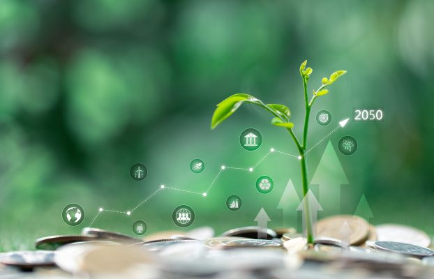 Zielone obligacje i ESG w energetyce: jak Polska finansuje transformację